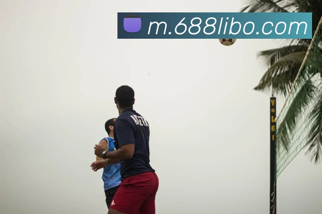 libo立博英国平台生态图