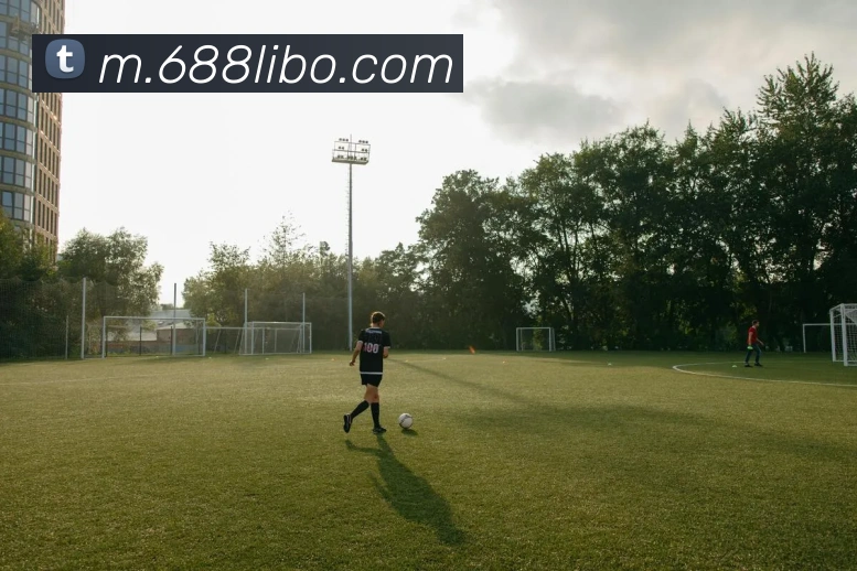 libo立博英国全站App